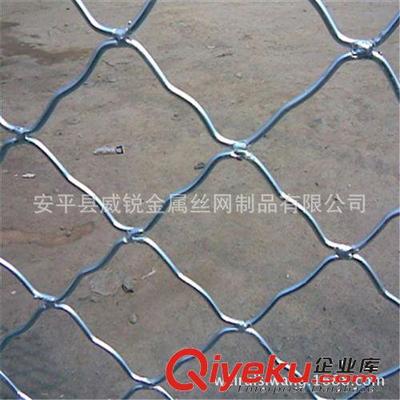 廠家直銷東北地區.圈玉米美格網.圈棒子美格網,美格網價格-安平縣威銳金屬絲網制品提供廠家直銷東北地區.圈玉米美格網.圈棒子美格網,美格網價格的相關介紹、產品、服務、圖片、價格安平縣威銳金屬絲網制品、鐵絲網;護欄網;隔離柵;防護網;牛欄網;荷蘭網;軋花網;草原網;勾花網;刀片刺繩網;防風抑塵網;沖孔網;建筑網片;美格網;鋼板網;鐵藝護欄網;鋼格板;不銹鋼網;石籠網;礦篩網